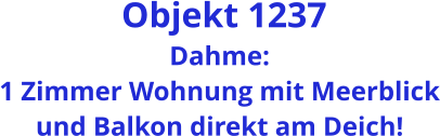 Objekt 1237 Dahme: 1 Zimmer Wohnung mit Meerblick und Balkon direkt am Deich!